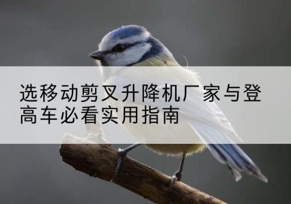 昌邑电动升降机厂家-选移动剪叉升降机厂家与登高车必看实用指南