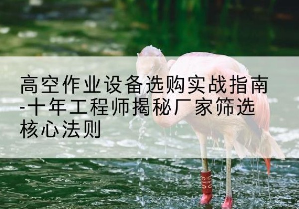 昌邑剪叉式升降机厂家-高空作业设备选购实战指南-十年工程师揭秘厂家筛选核心法则